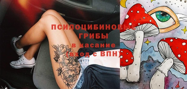 jwh Пересвет