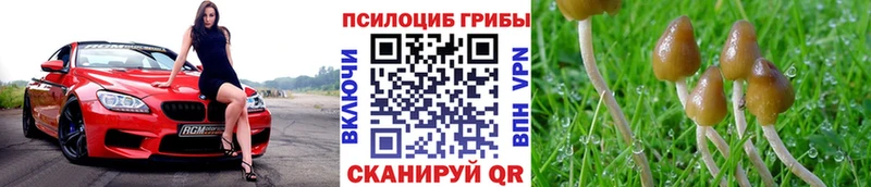 Галлюциногенные грибы прущие грибы  Удачный 