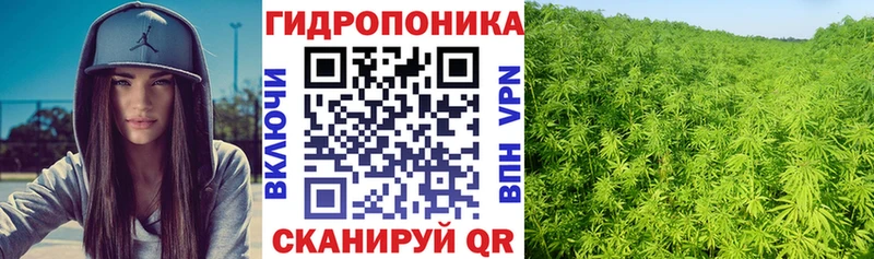 купить закладку  Удачный  Бошки марихуана ГИДРОПОН 